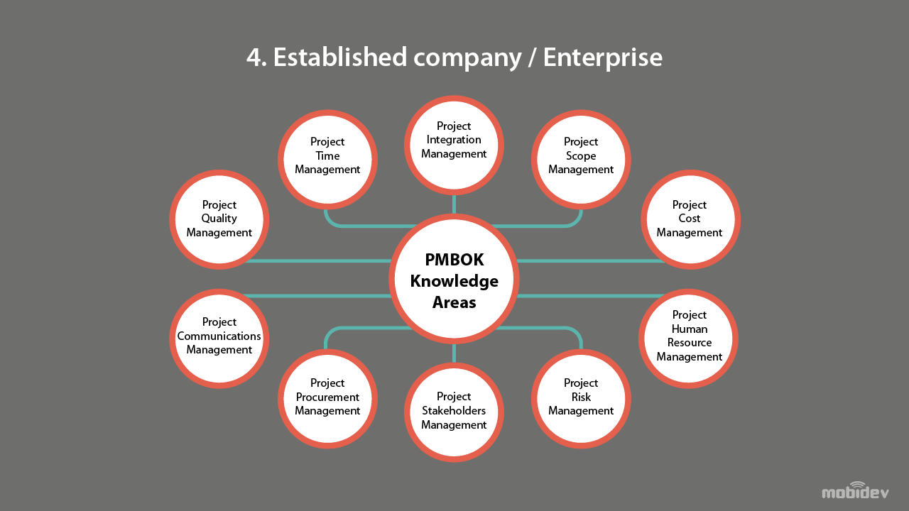 Structure of established company