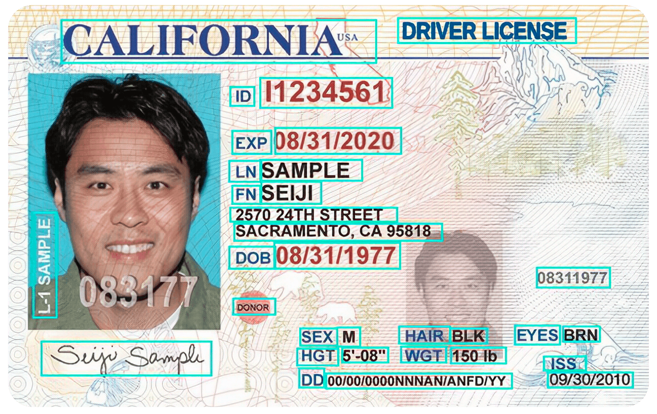 How neural network OCR detects drivers licenses How neural network OCR detects drivers licenses