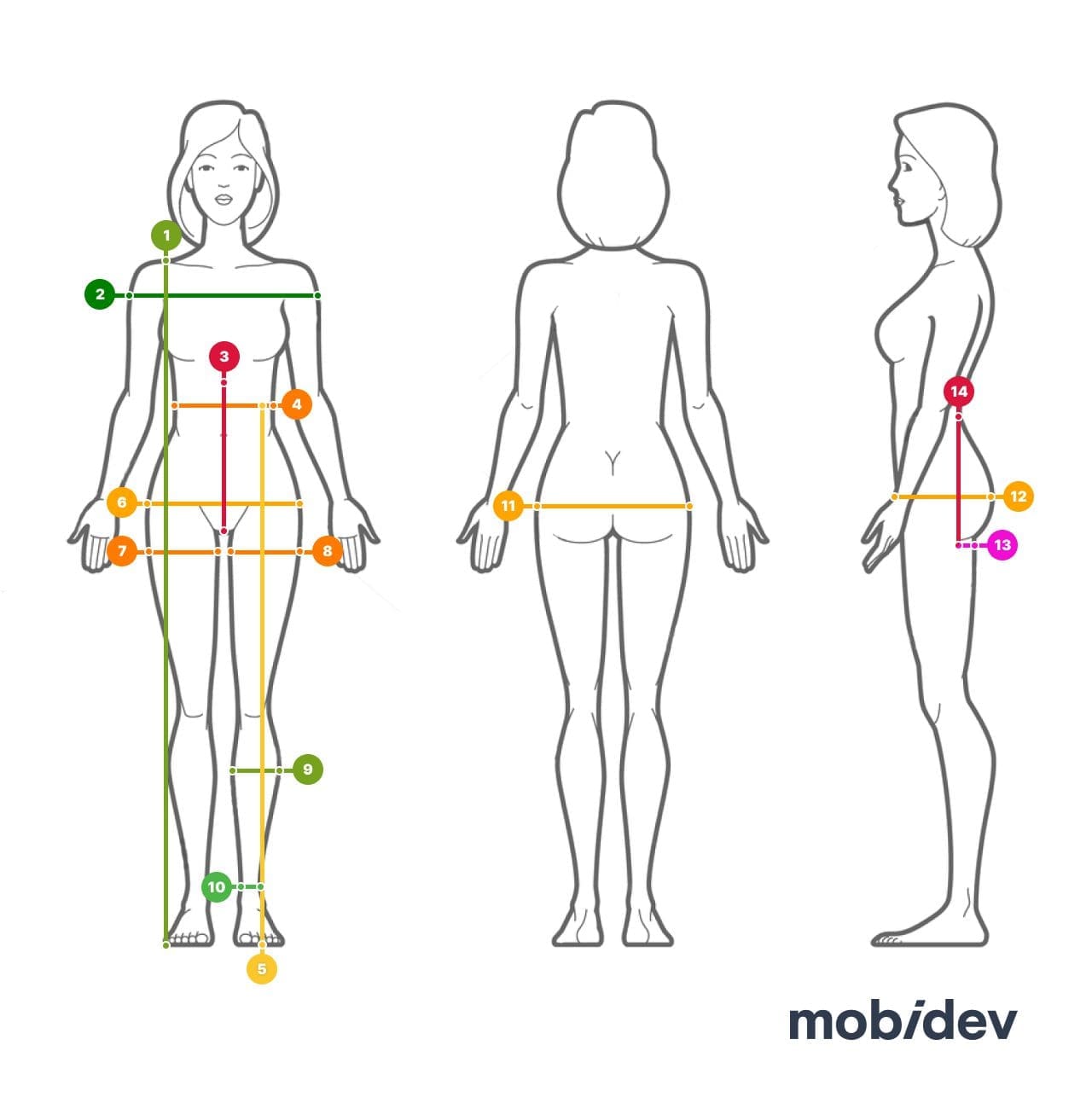 Body measurement scheme