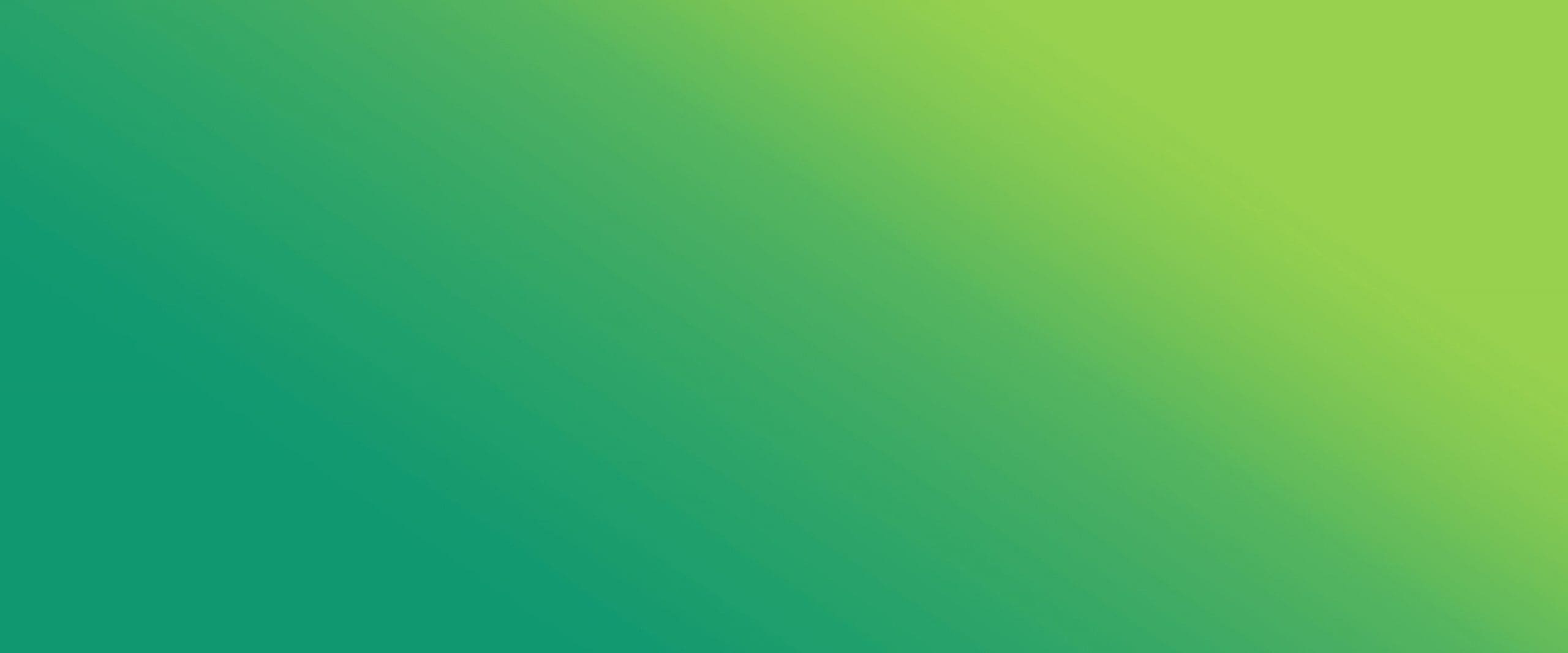 software-development-company-offer