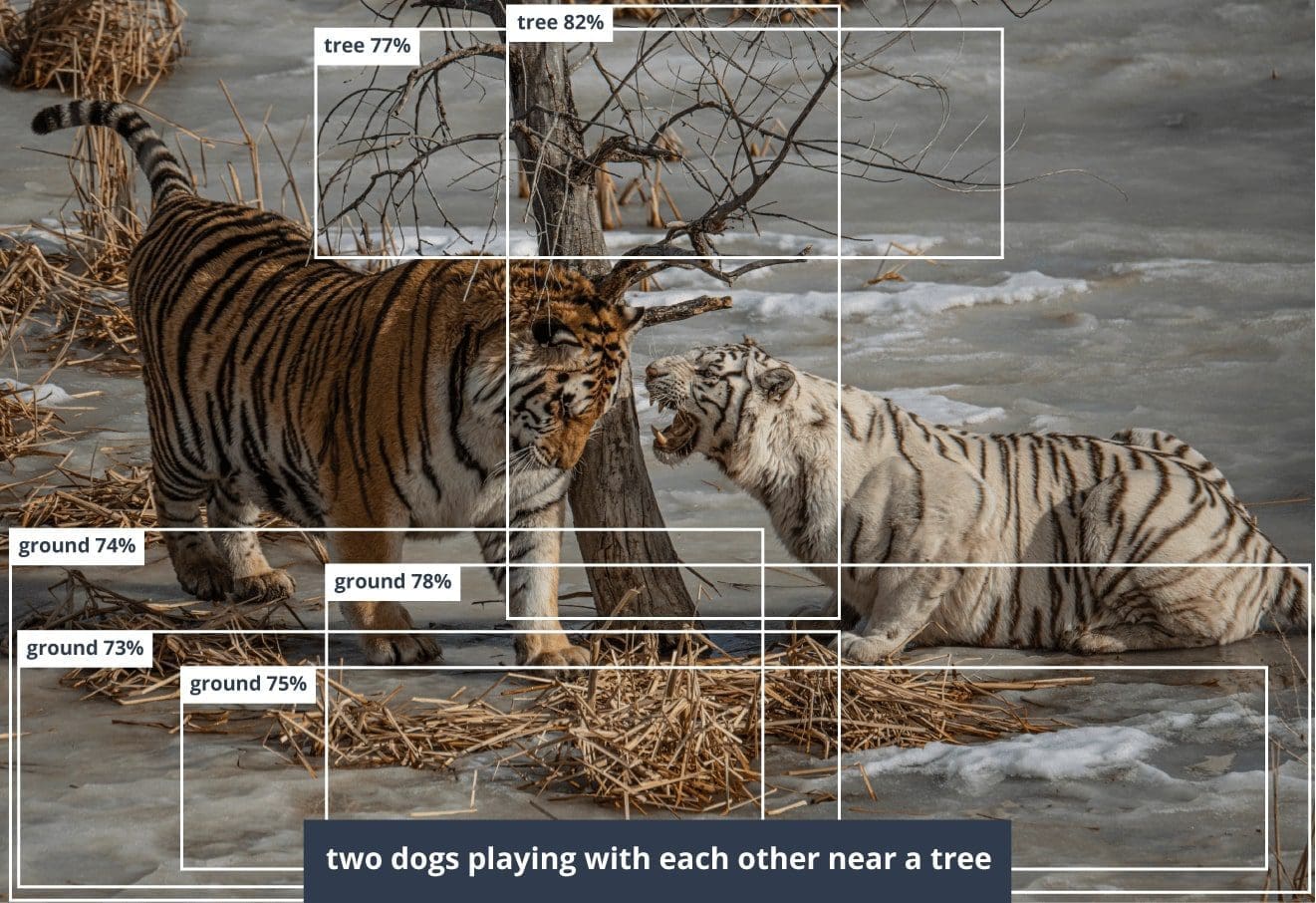 Neural Networks operate captioning unknown objects