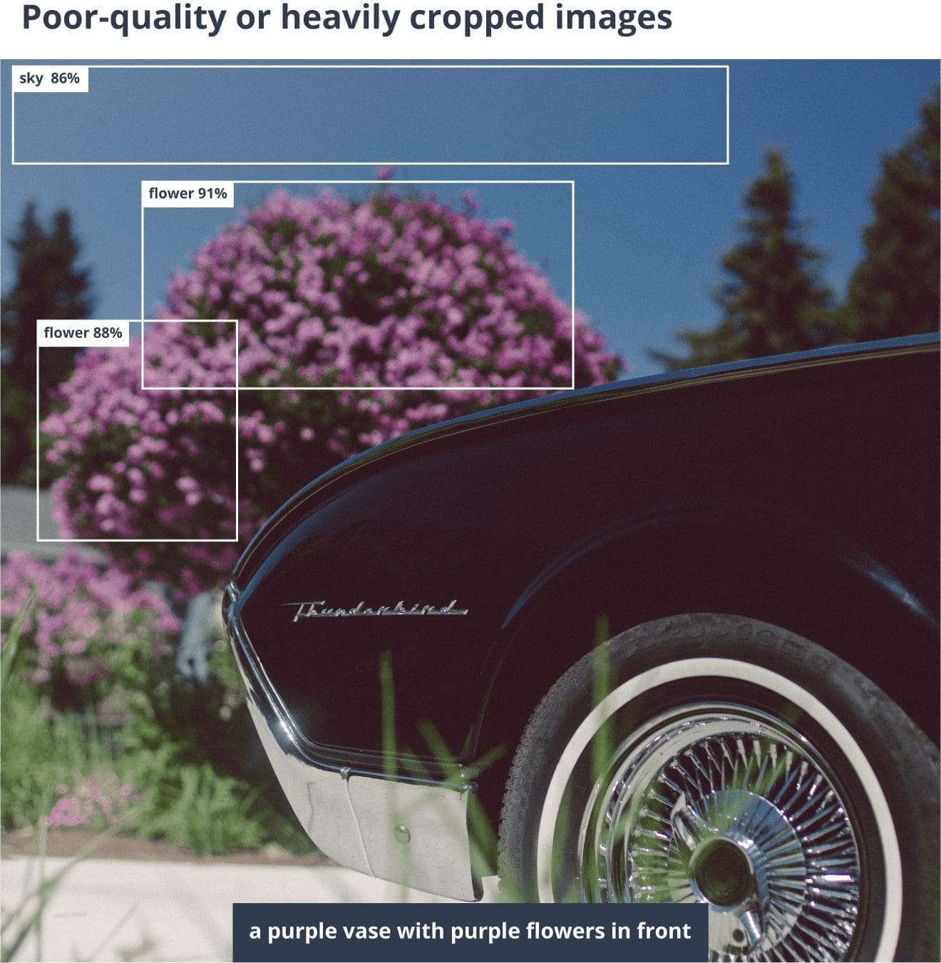 Errors made by AI image captioning