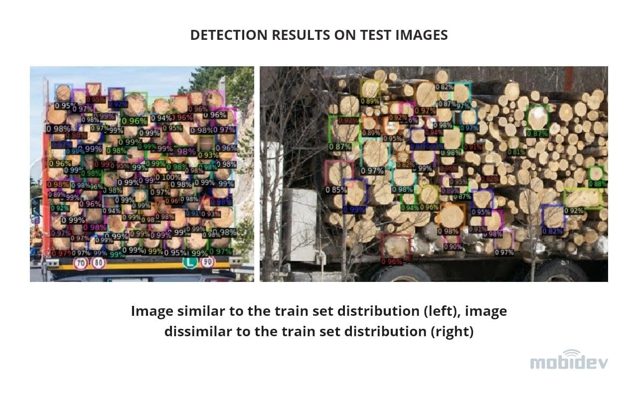 Object detection results