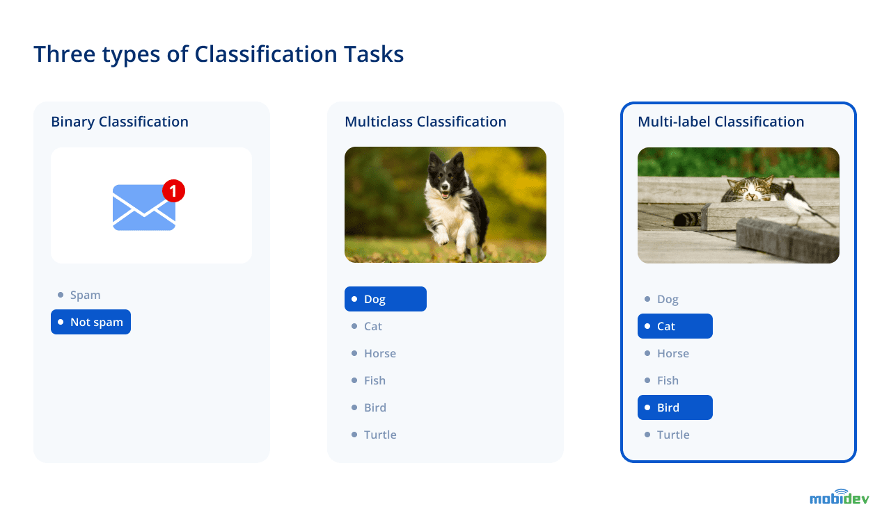 Types of Classification Tasks