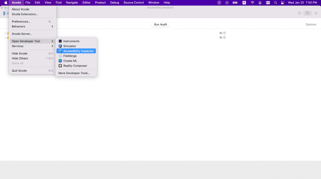 How to use xCode Accessibility Inspector