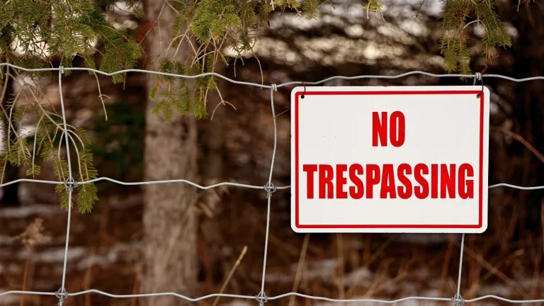 LLM Security Complete Guide for CTOs and IT Security Officers LLM Security Complete Guide for CTOs and IT Security Officers